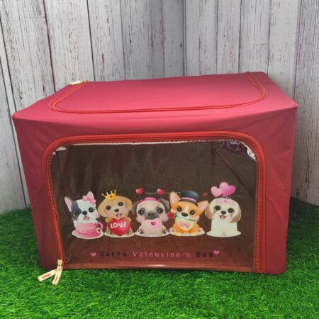 Foldable Cloth Organiser