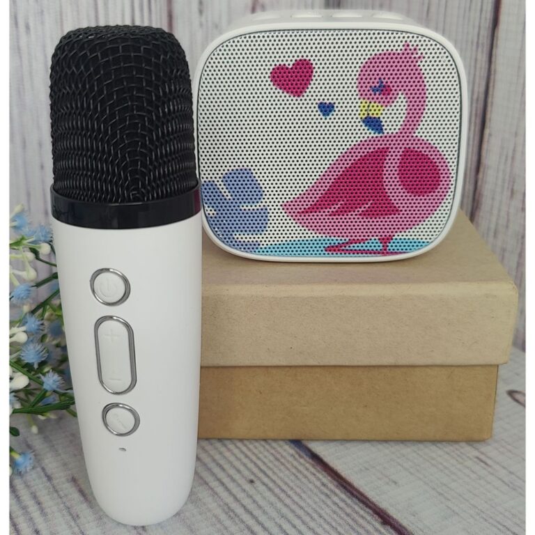 Wireless Karaoke Speaker With Mic - Image 4