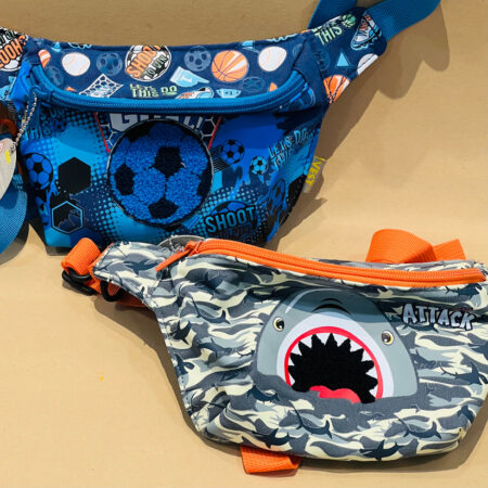 Cross Body Cum Waist Pouch